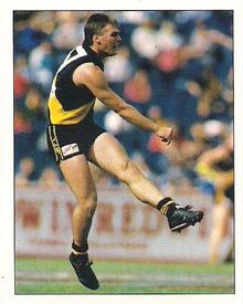 1995 Select AFL Stickers #190 Paul Broderick Front